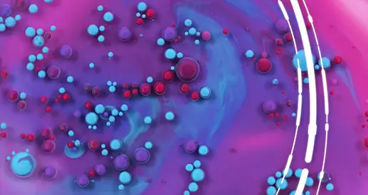 Portfólio | Loc On Demand Agencia de locucao - Loc On Demand - Locuotores brasileiros e nativos -TedXUSP